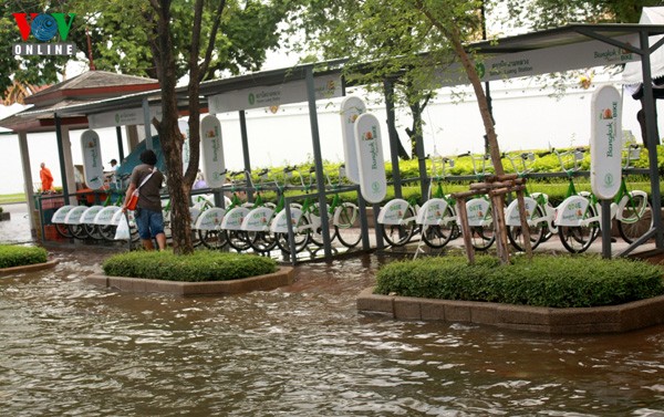 Xe đạp trong chương trình Bangkok xanh nay đắp chiếu vì nước lụt
